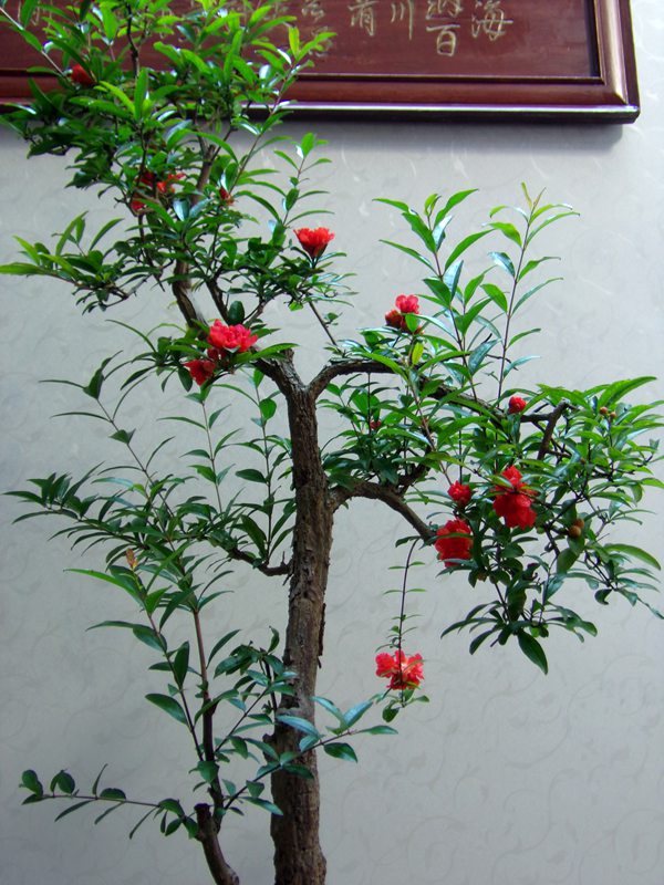 100_1908.JPG