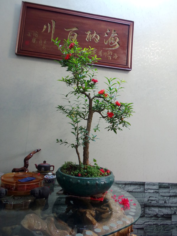 100_1927.JPG