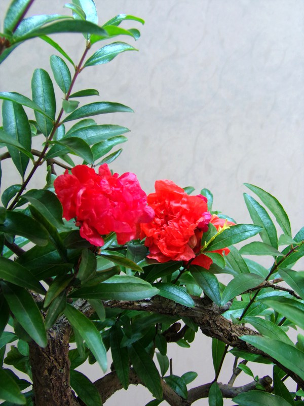 100_1928.JPG