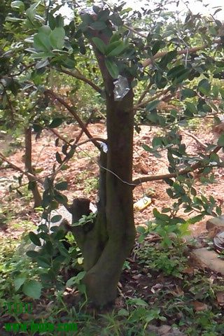 IMG00144.jpg