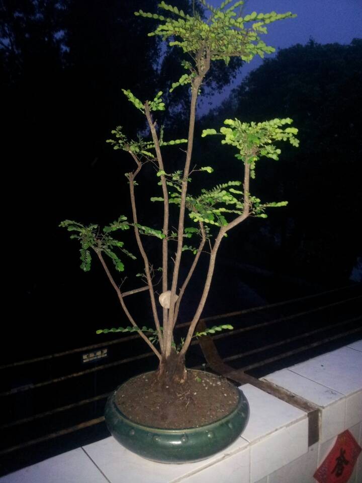 QQͼƬ20140506191738.jpg