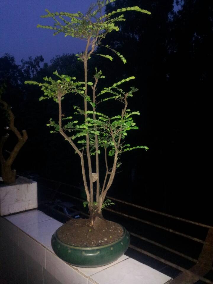 QQͼƬ20140506191810.jpg