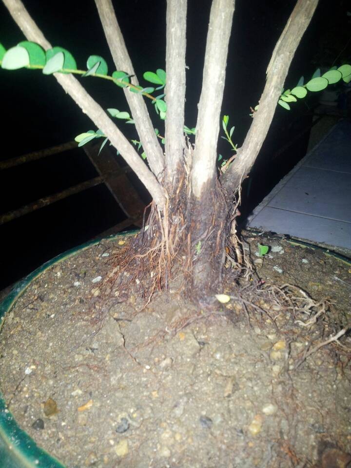 QQͼƬ20140506191832.jpg