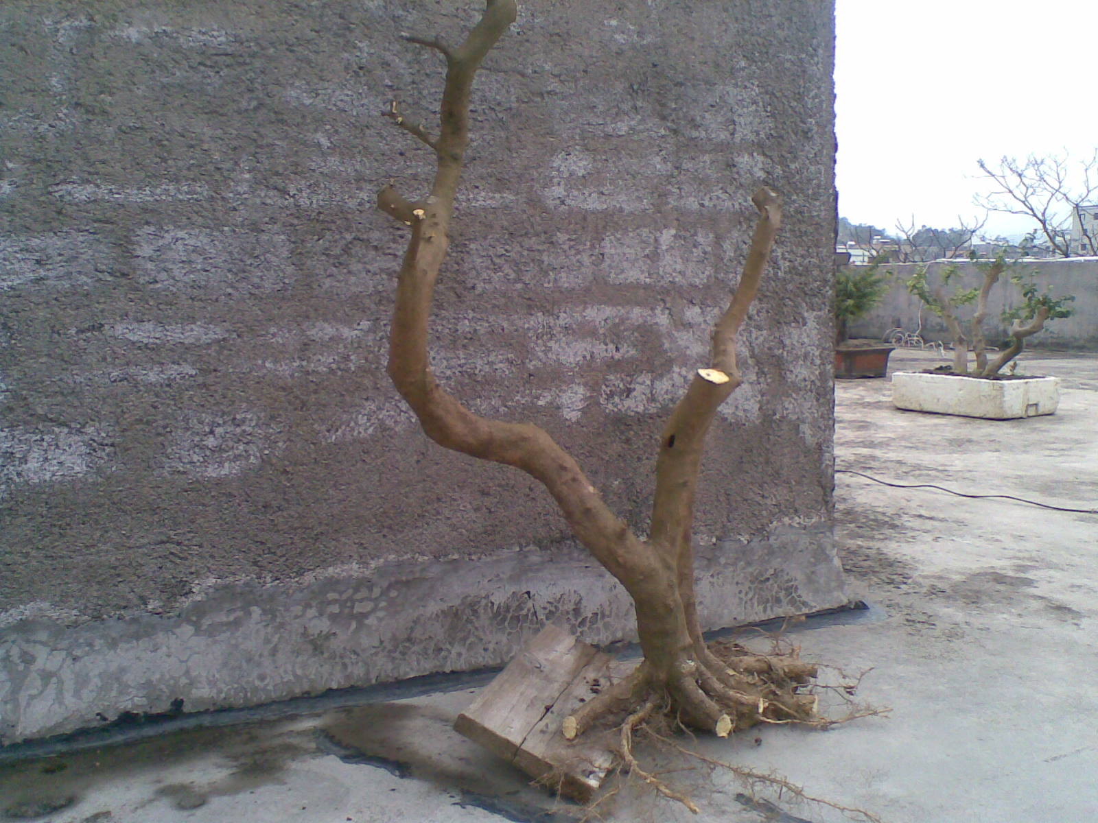 20140218(002).jpg