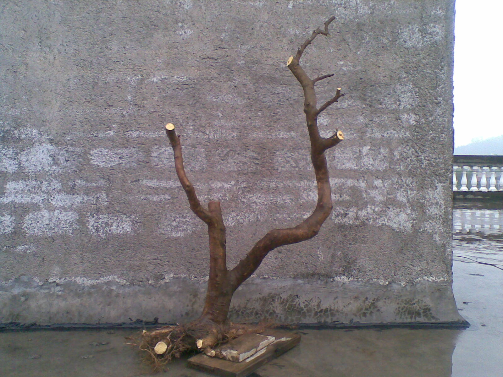 20140218(004).jpg