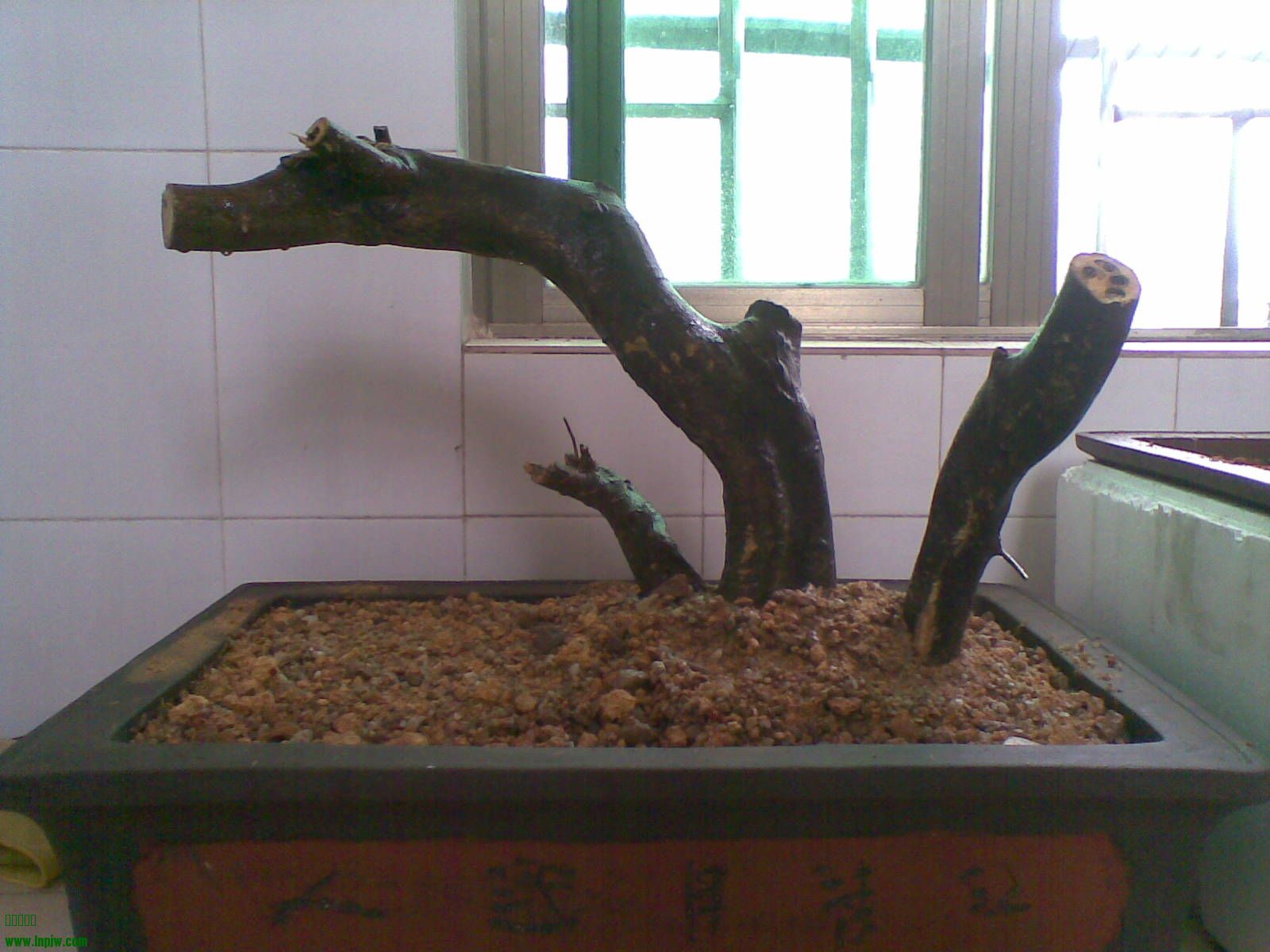 20140228.jpg