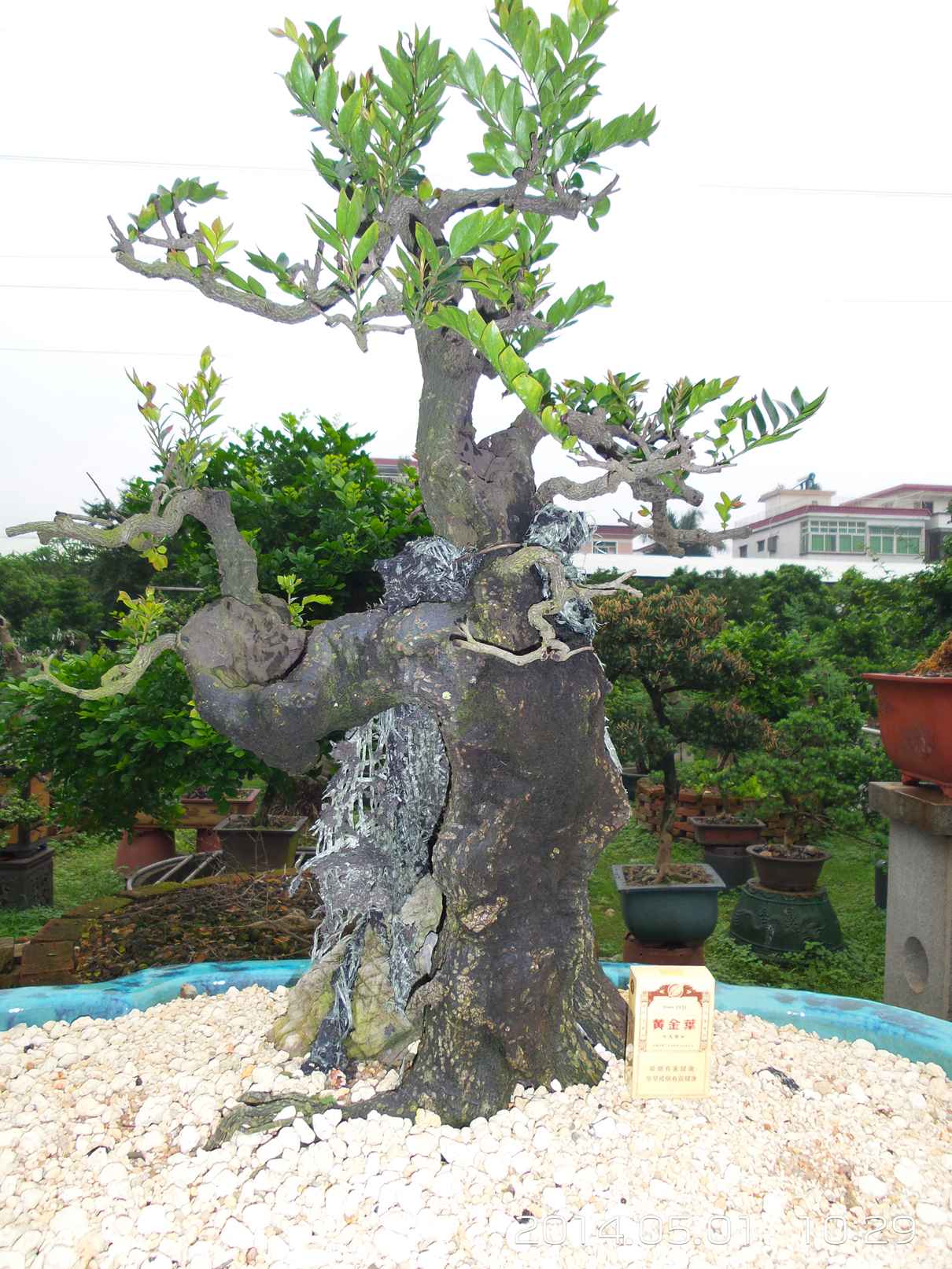 20140501_102933.jpg