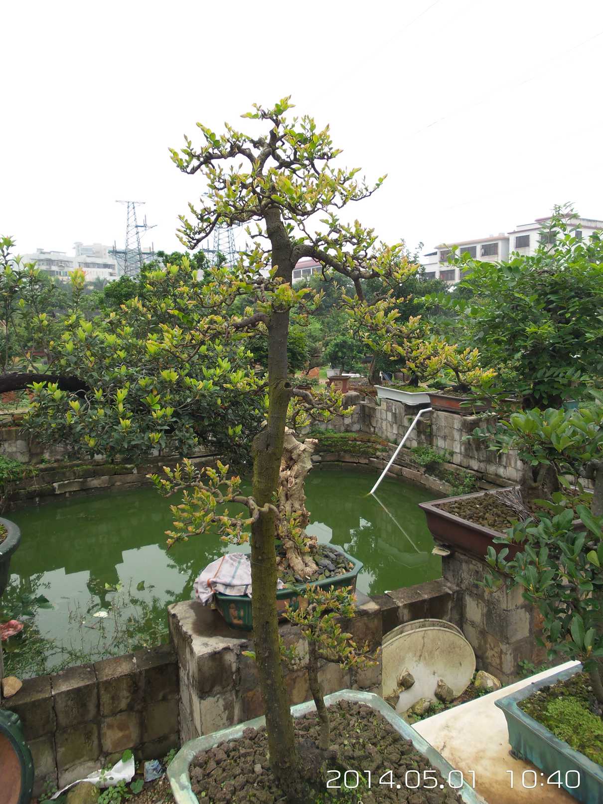 20140501_104011.jpg