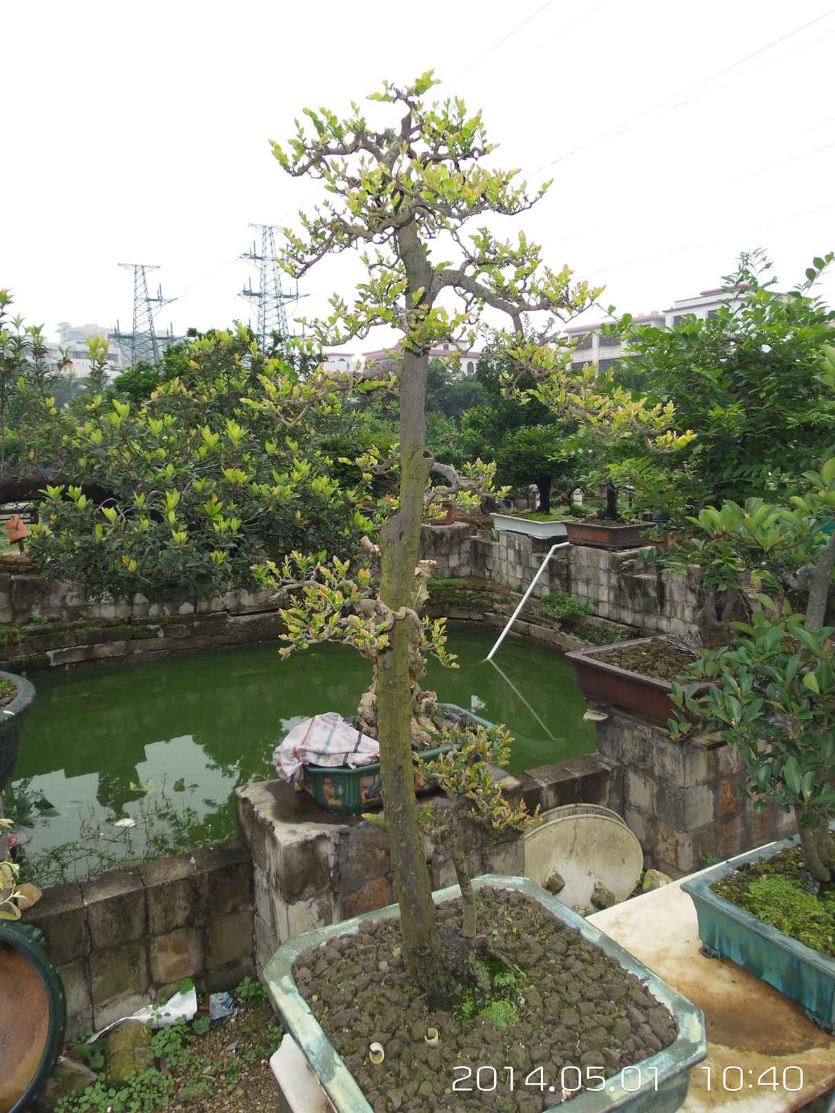 20140501_104040.jpg