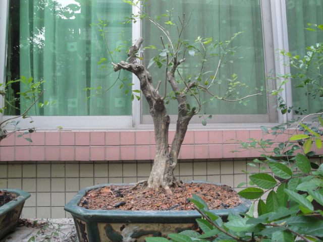 DSC05905.JPG