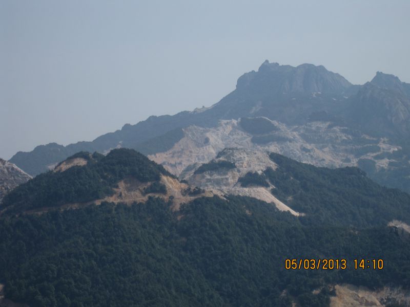 IMG_4877.jpg