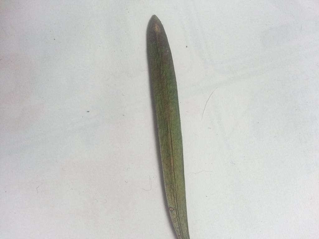 20140508_090528__.jpg