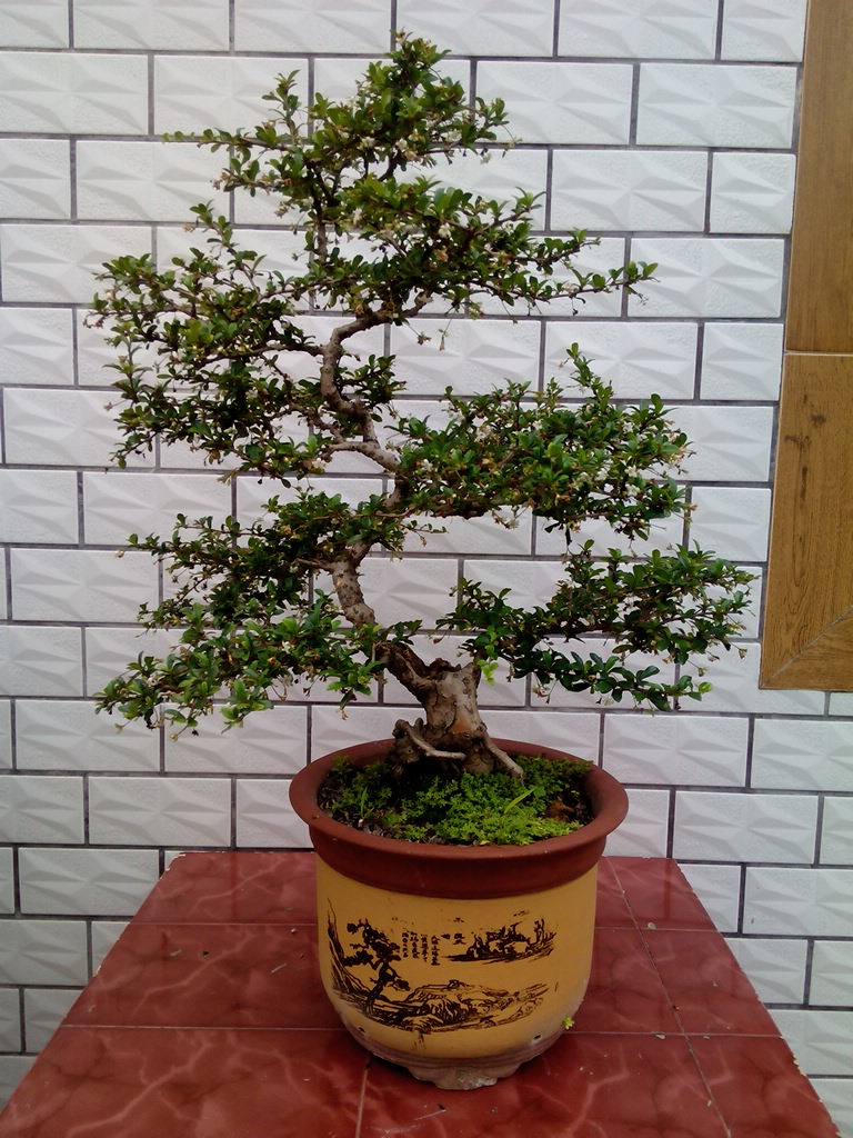 IMG_20140506_140917.jpg