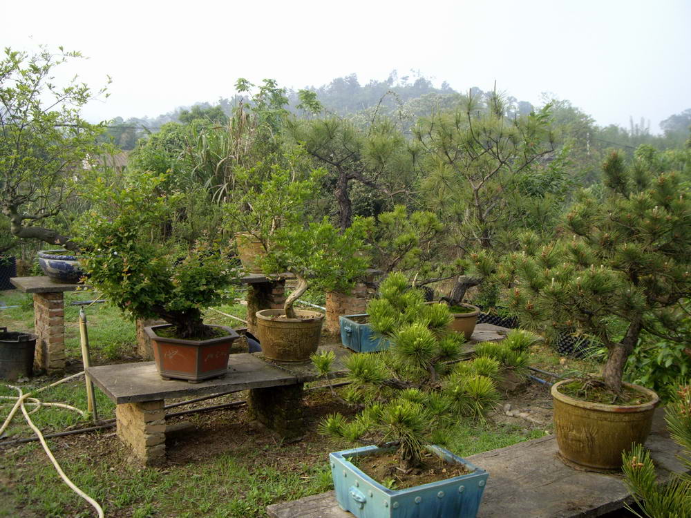 IMGP9718.JPG