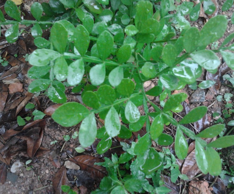 QQͼƬ20140509140407.jpg