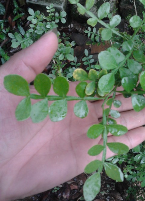 QQͼƬ20140509140428.jpg