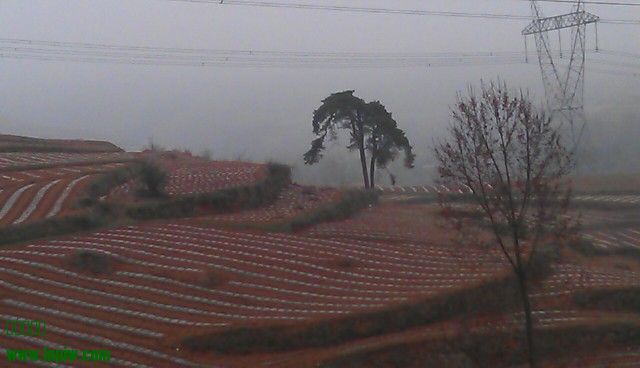 IMAG0275.jpg