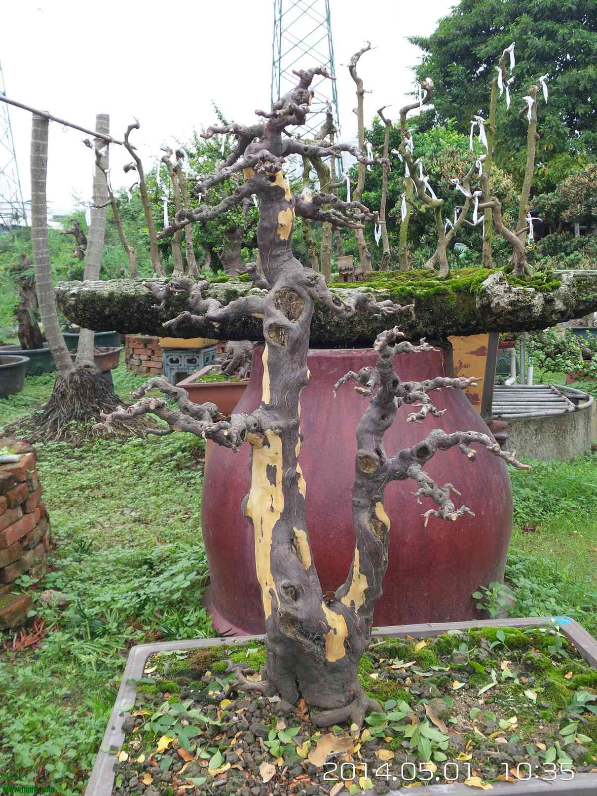 20140501_103523.jpg