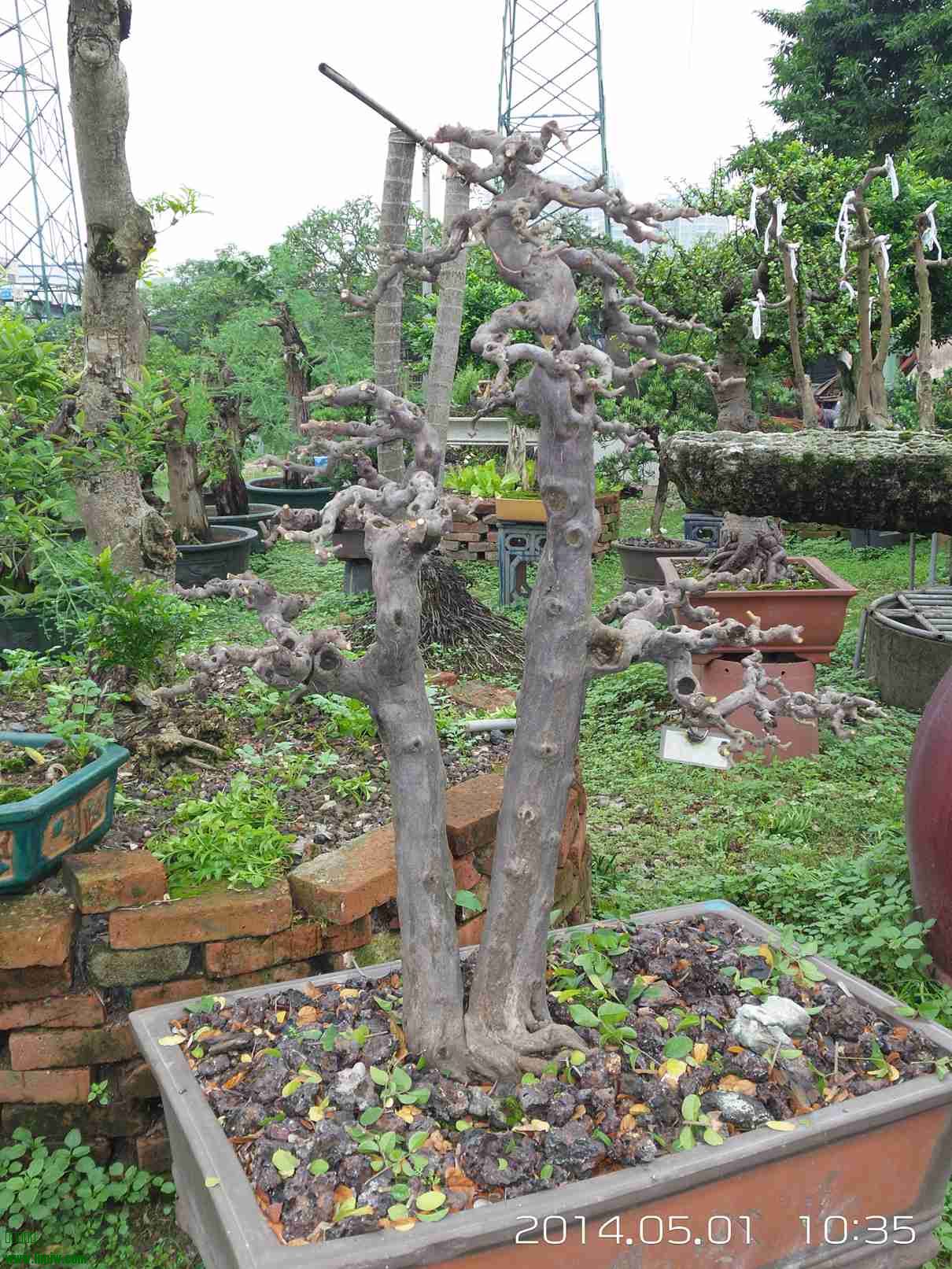 20140501_103545.jpg