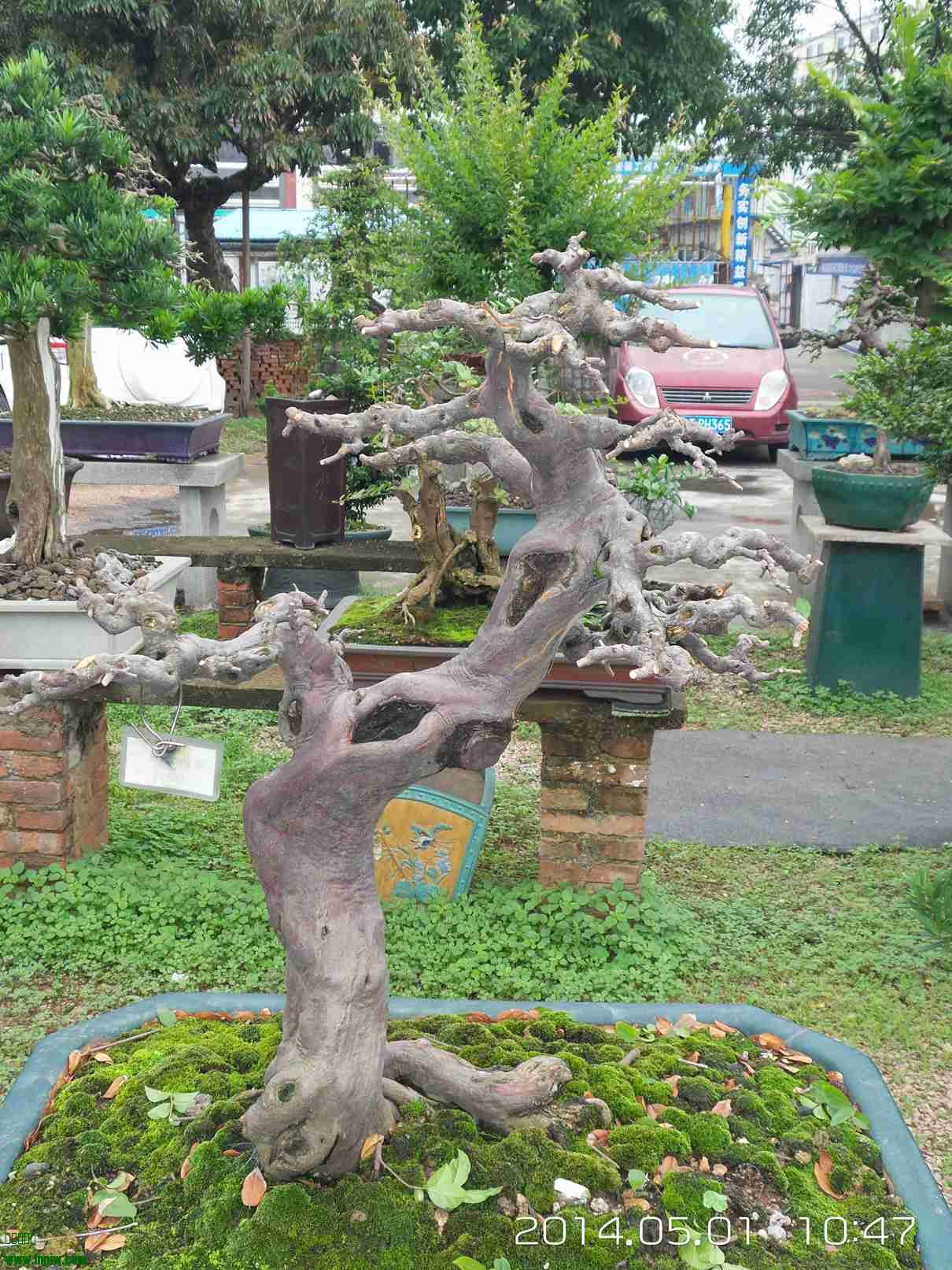 20140501_104701.jpg