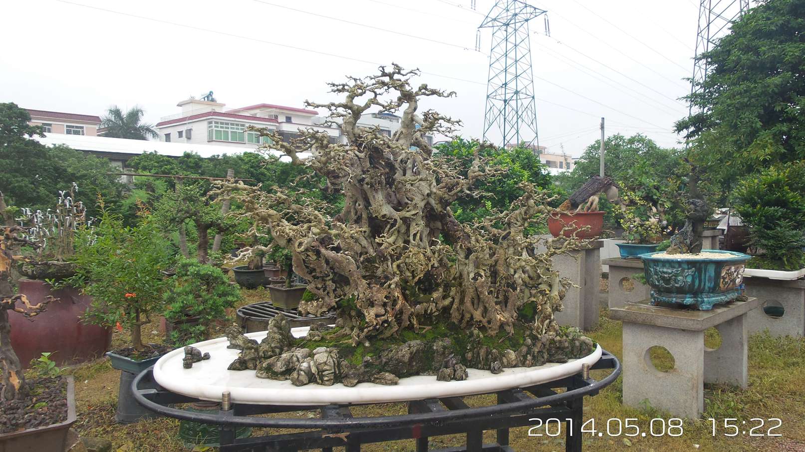 20140508_152205.jpg