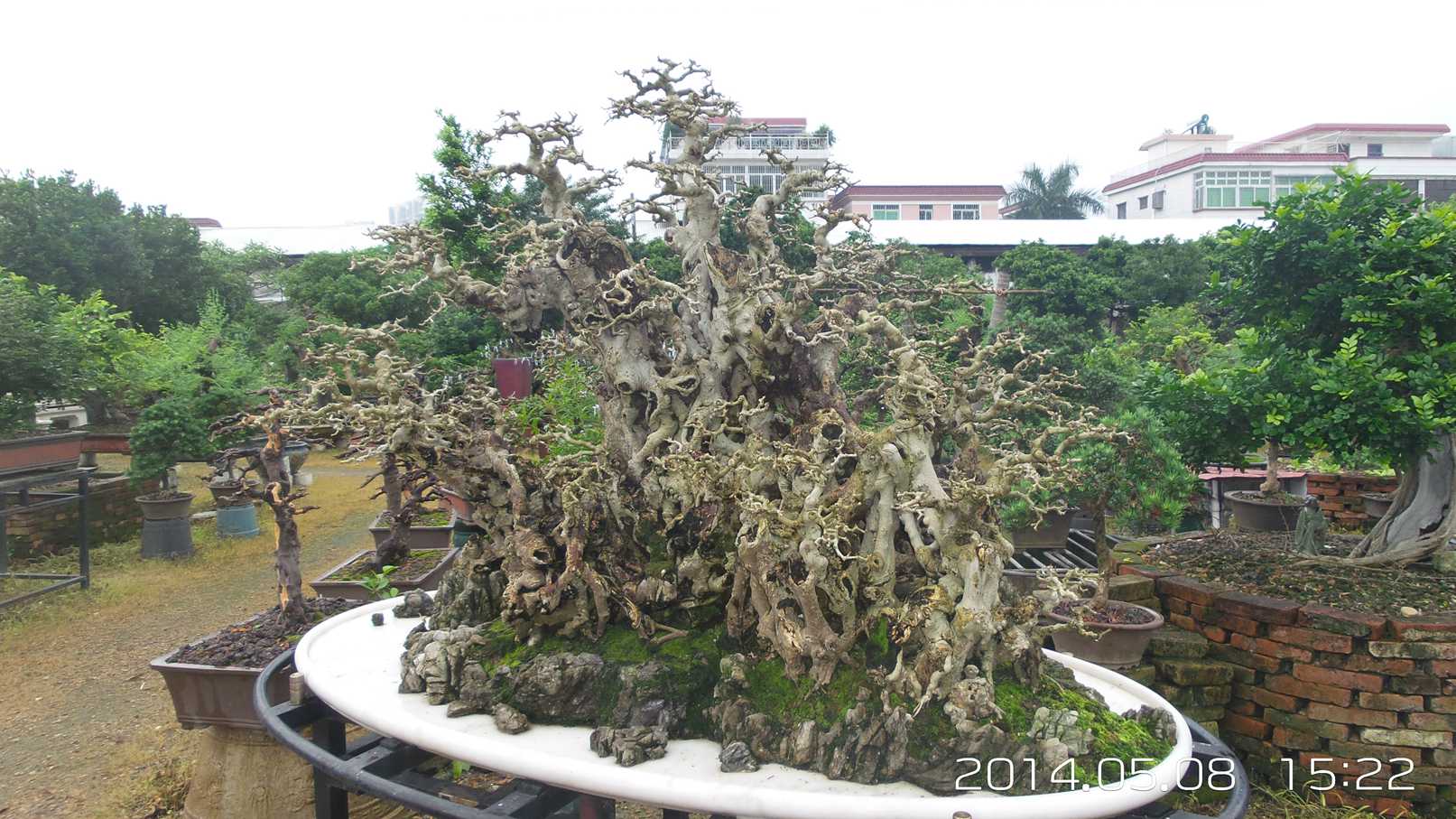 20140508_152214.jpg