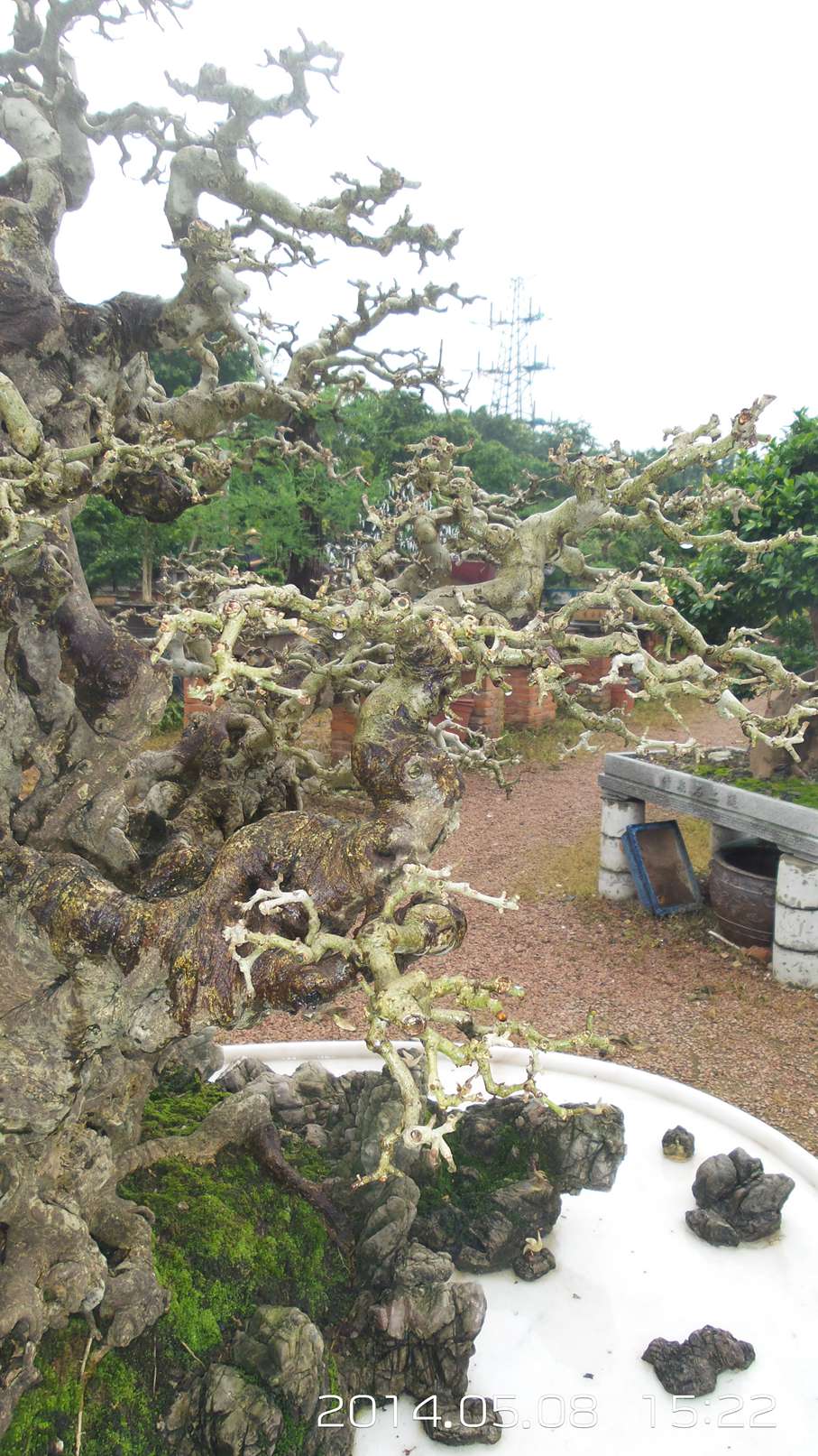 20140508_152252.jpg