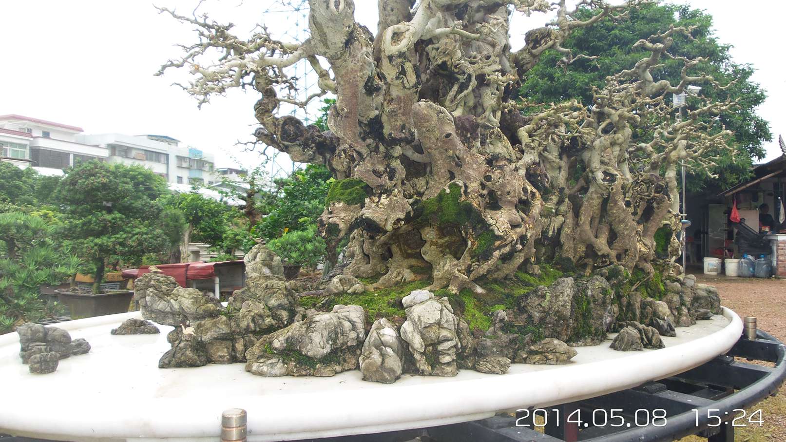 20140508_152430.jpg