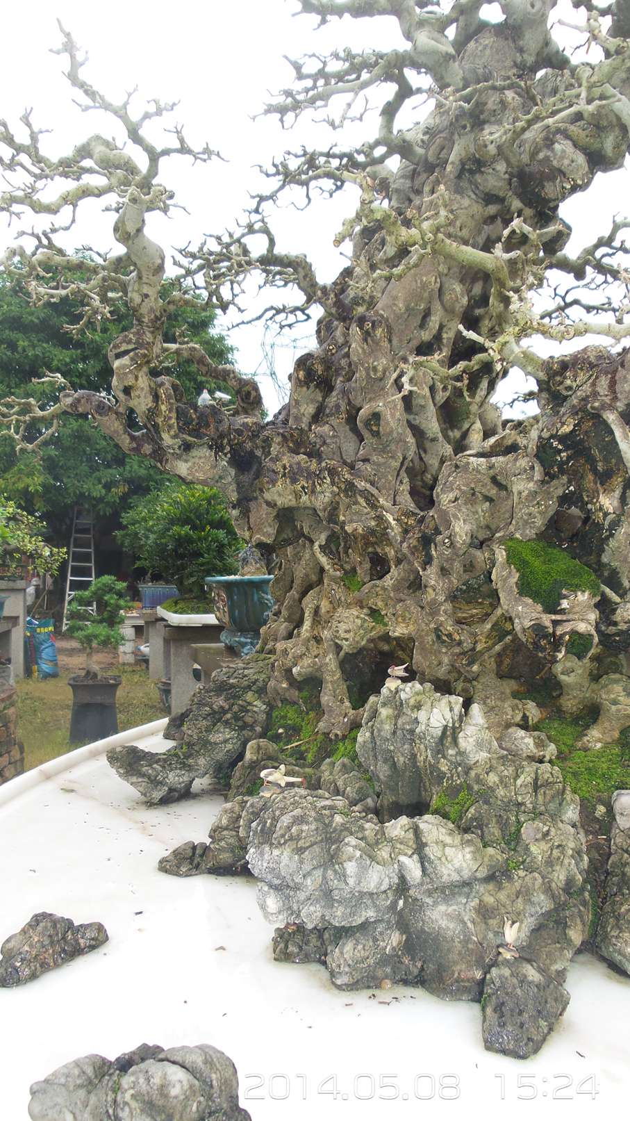 20140508_152455.jpg