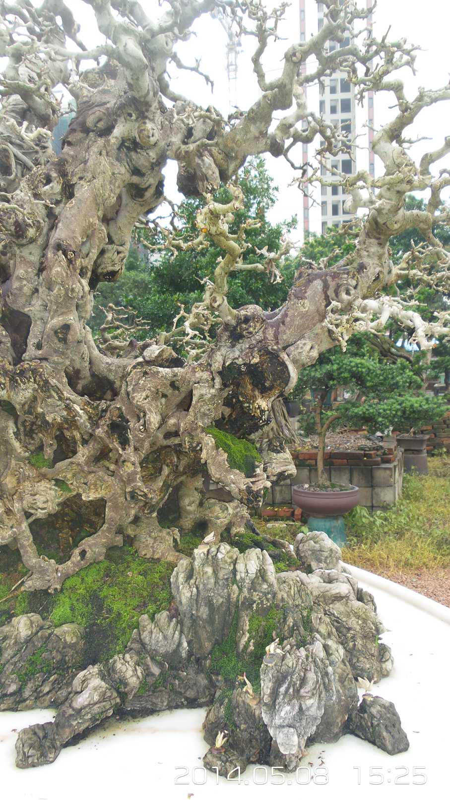 20140508_152558.jpg