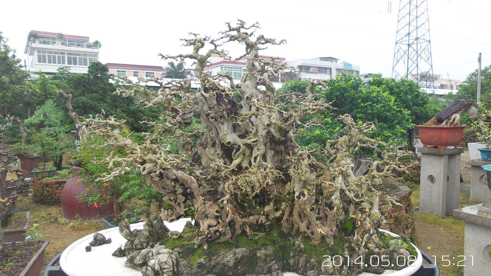 20140508_152156.jpg