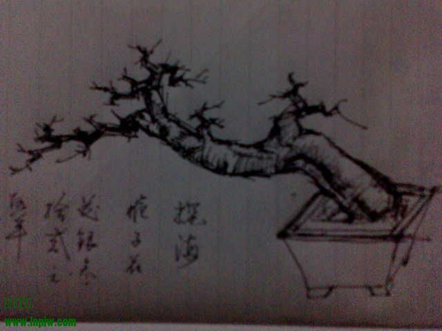 QQ140510213048.jpg