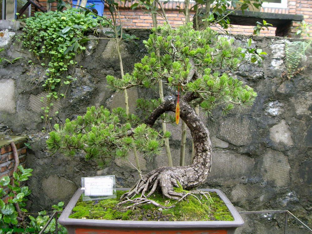 IMGP9855.JPG