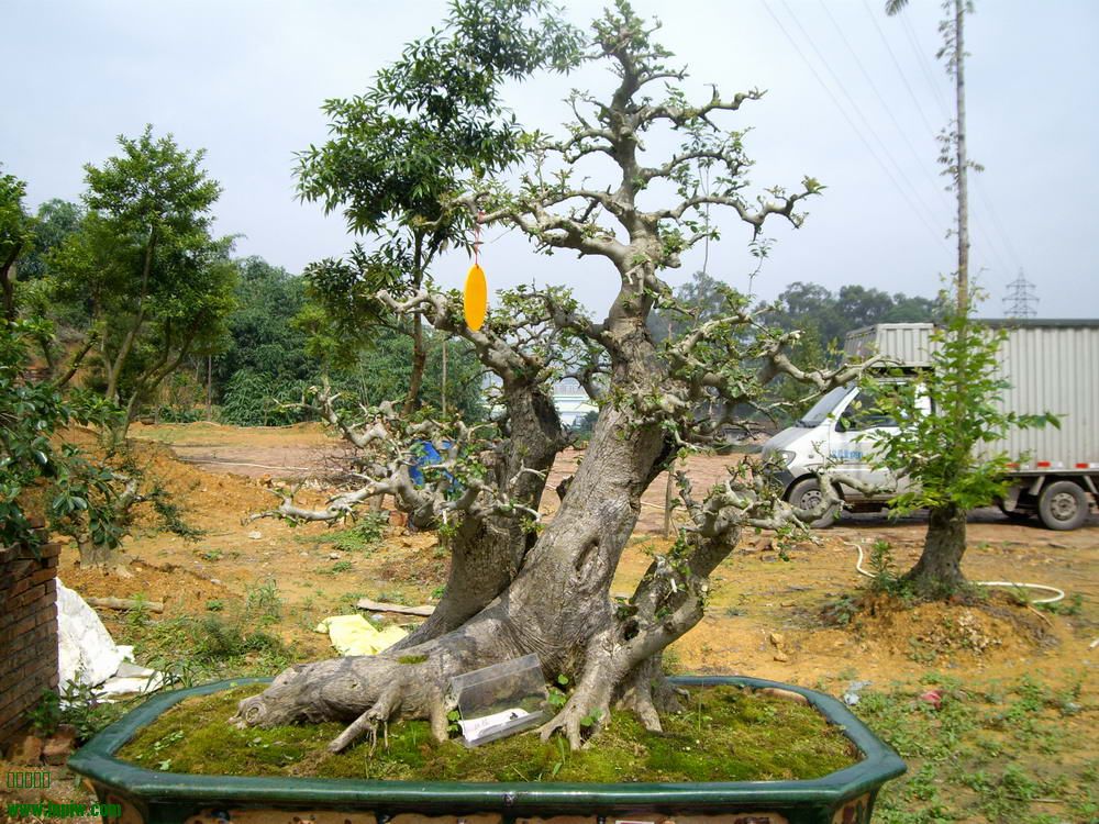 IMGP9847.JPG