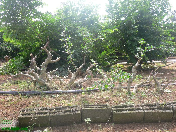 P1090075_.jpg