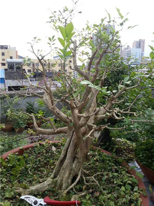 20140427_181311.jpg