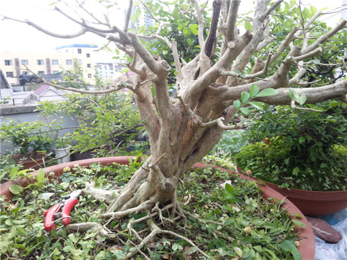 20140427_181349.jpg