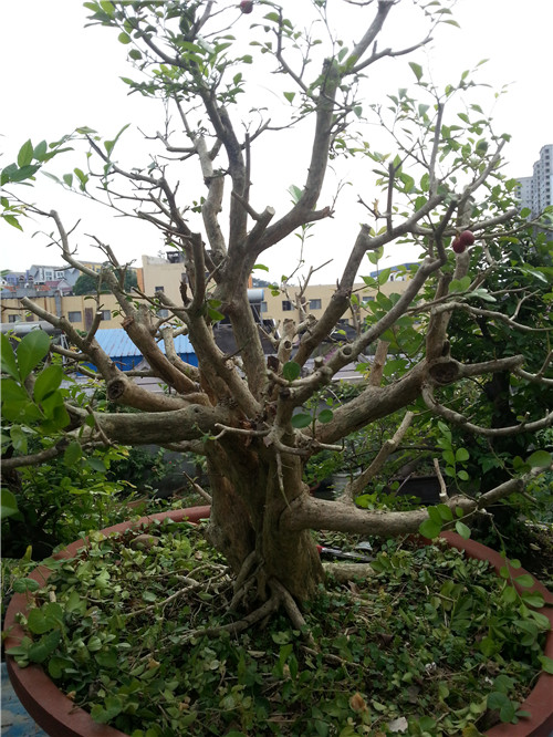 20140427_181411.jpg