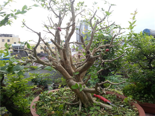 20140427_181444.jpg