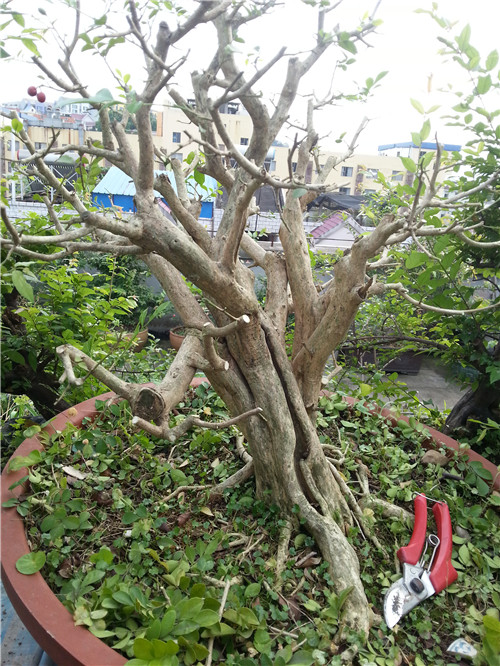 20140427_181510.jpg