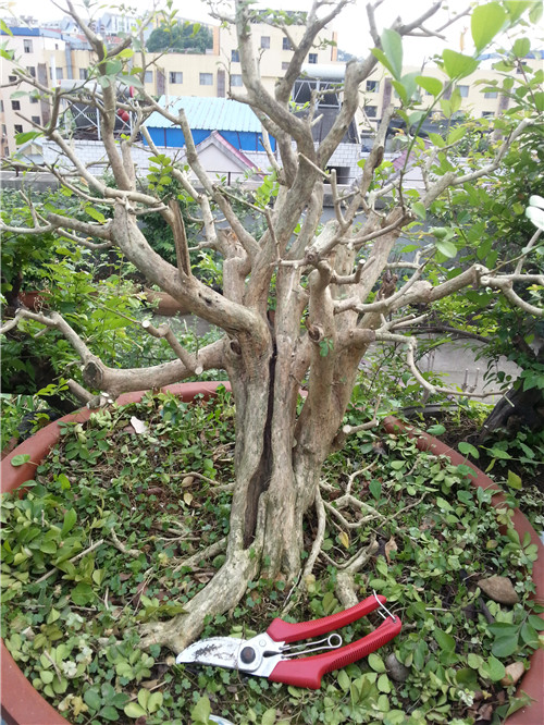 20140427_181609.jpg