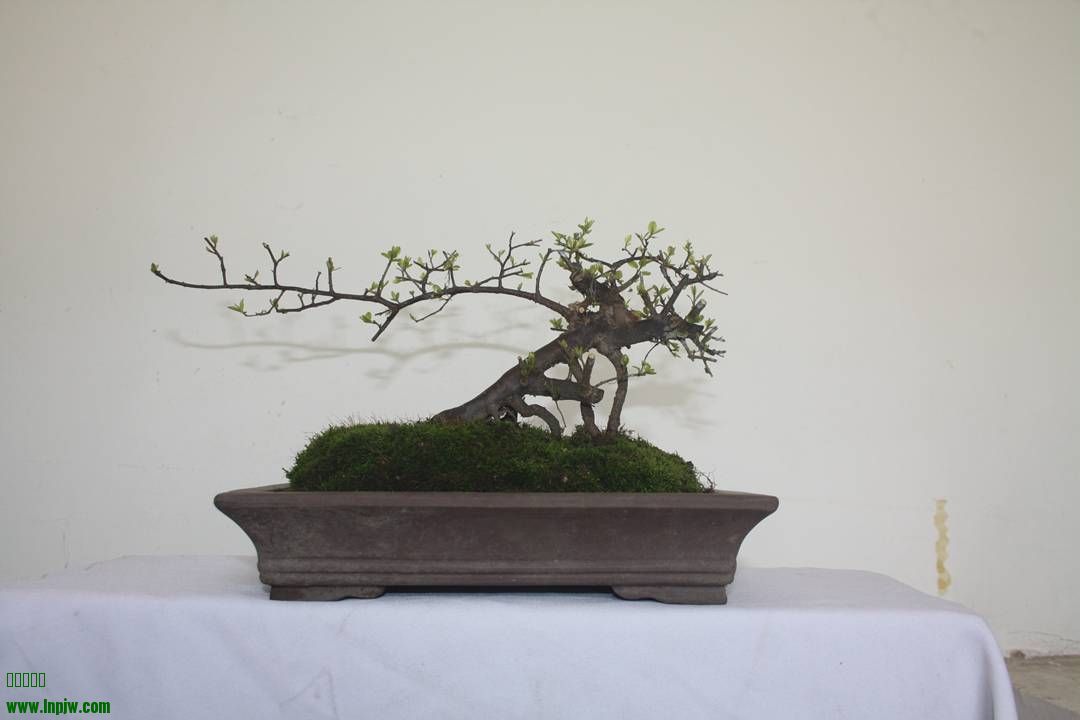 Ƭ20131026ۺ 1346.jpg