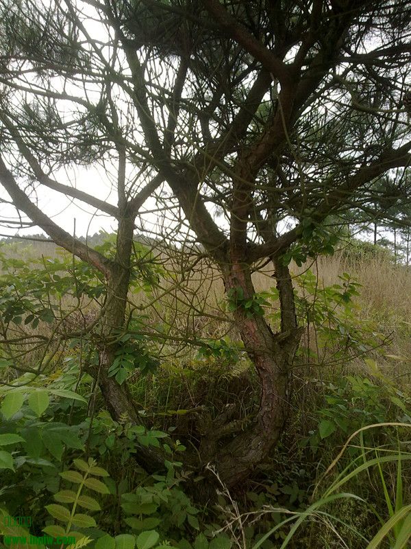 20140510207.jpg