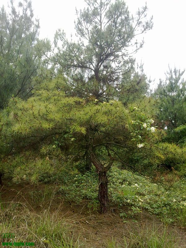 20140510209.jpg