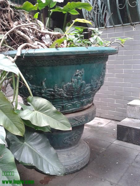 20140512_100522.jpg
