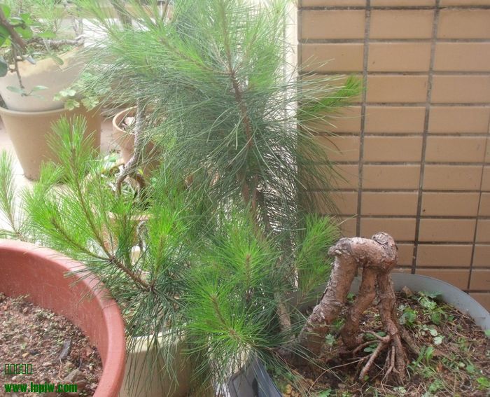 nEO_IMG_QQͼƬ20140512155628.jpg