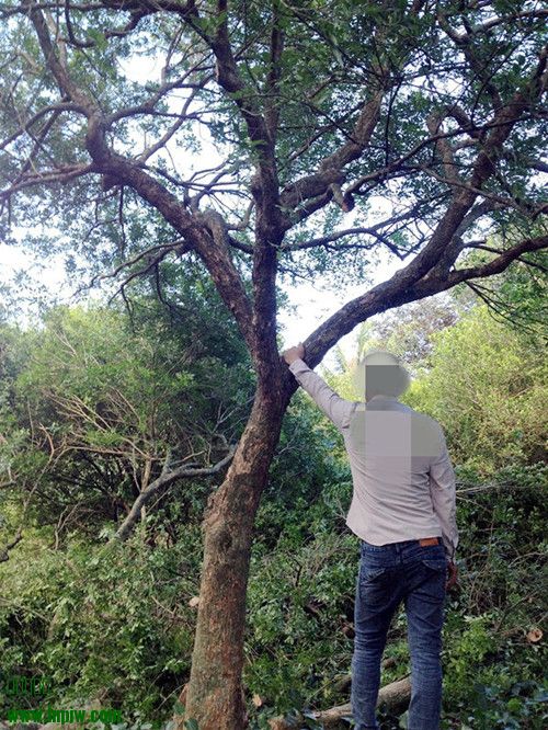 420.JPG