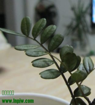 NB2T1~5XW8O1D4IC8}RRA$L.jpg