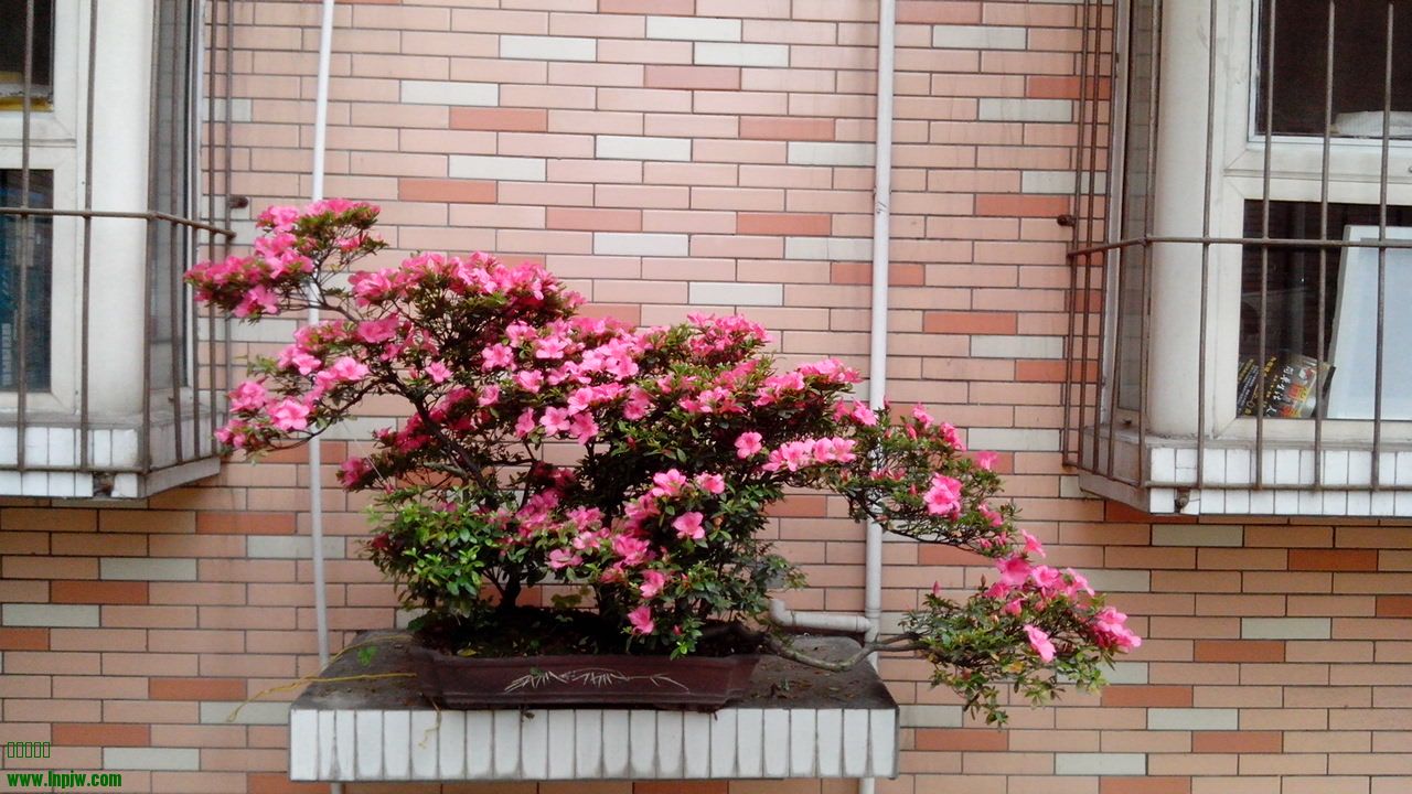 IMG_20140511_102834.jpg
