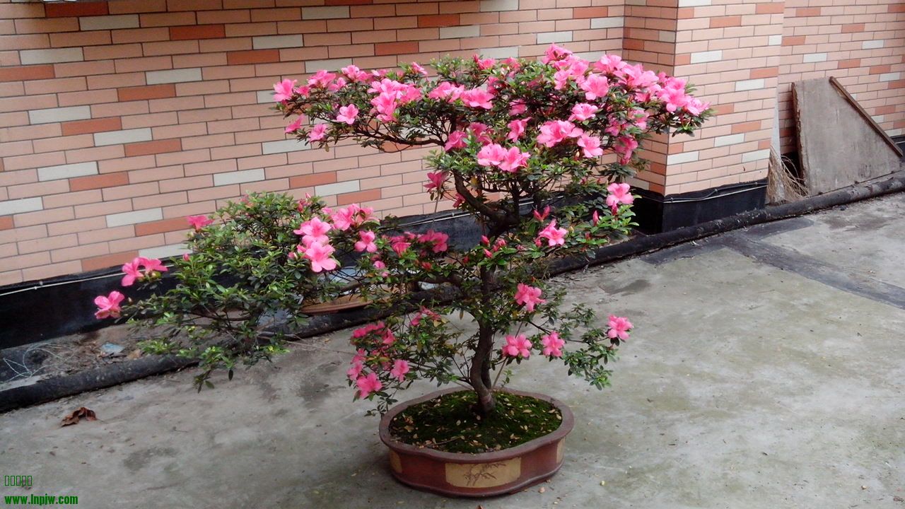 IMG_20140511_101124.jpg